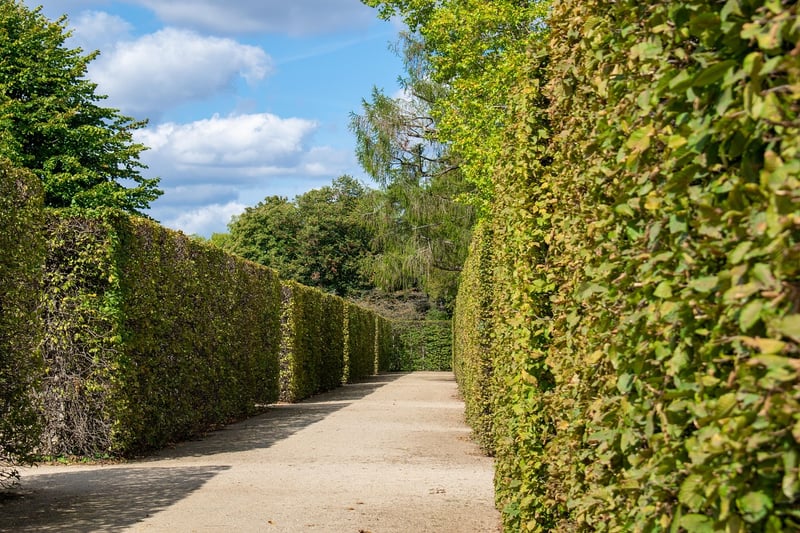 Labyrinth Path